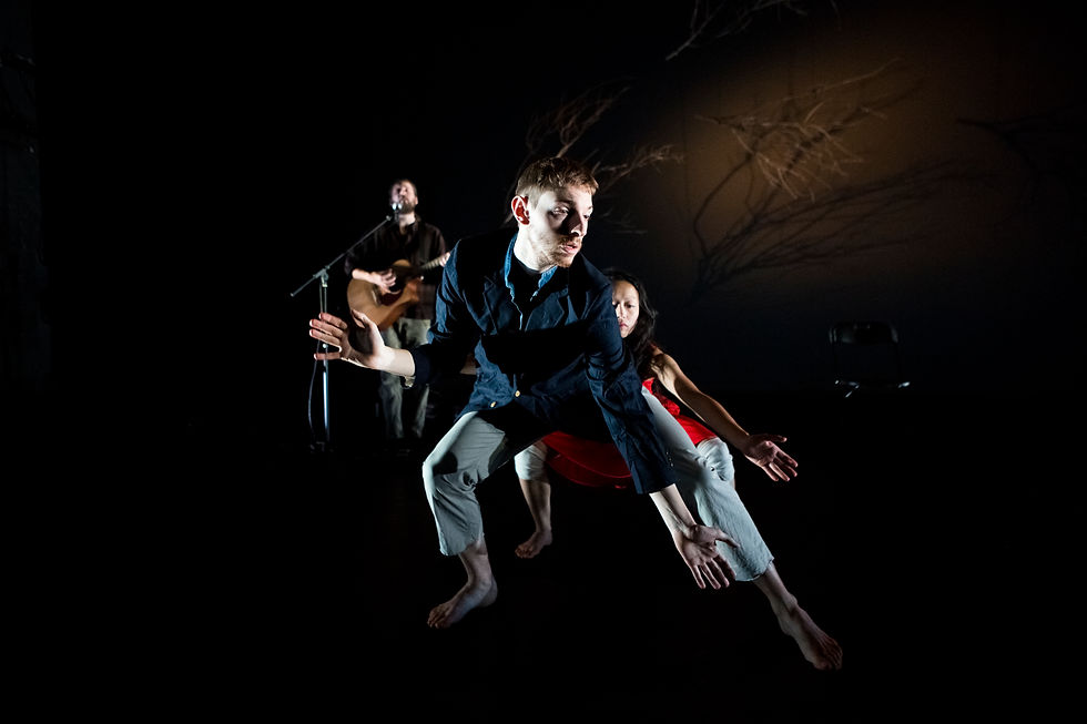Looping under a Tree @ Alicia Clarke