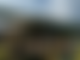 Axe Throwing at Wintergreen Resort | Independence Day Music Festival