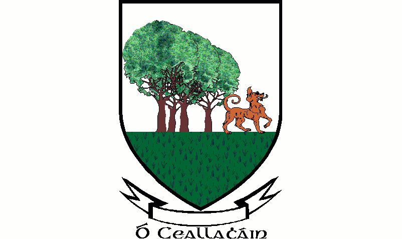 "Show Bravery Without Me"