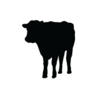 akiptan cow 2.png