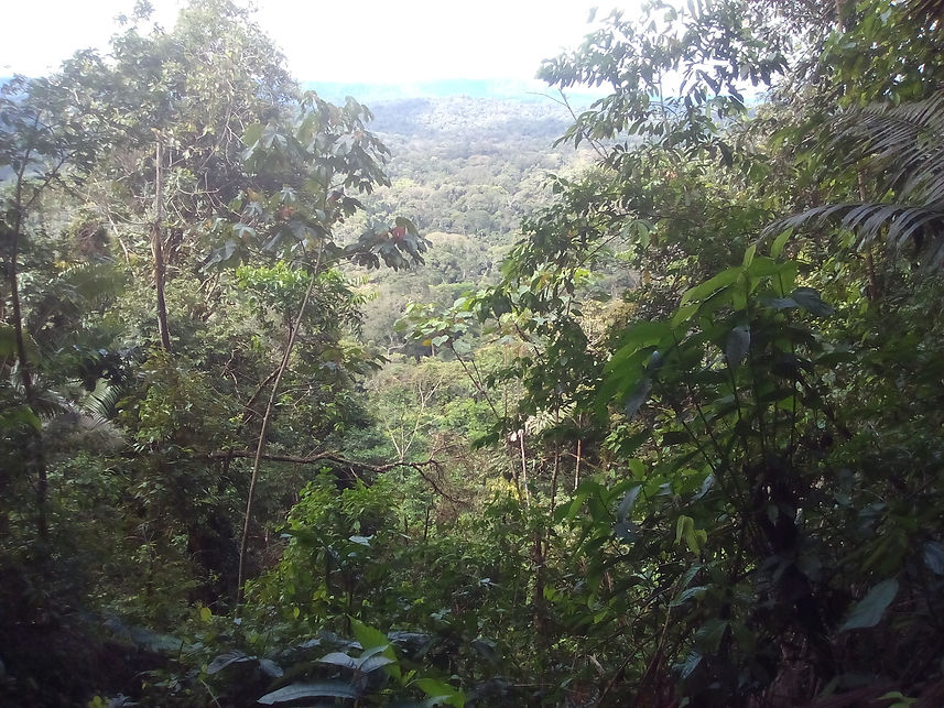 IMG_20170518_101849.jpg
