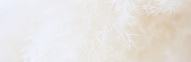 Wix Website Design - Boho + Banner(2).jpg