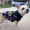 Thumbnail: Spooky & Stylish: Halloween Dog Coats for Your Furry Friend (XS-M)