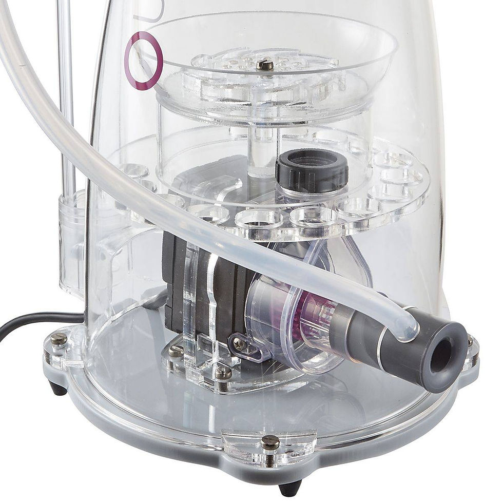 Thumbnail: Nyos - Quantum 220 Skimmer