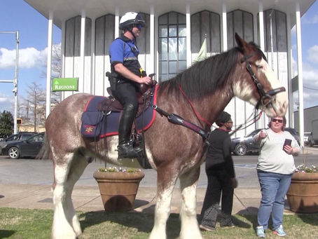 Mounted patrol unit debuts in downtown Meridian