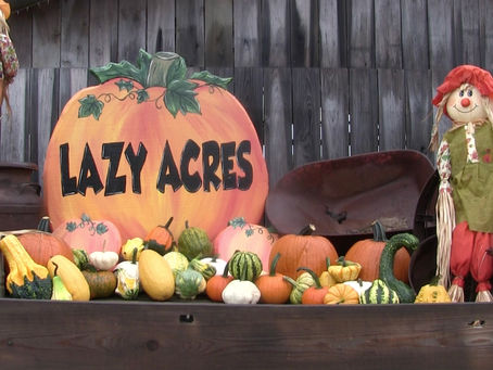 Local farm prepares for upcoming pumpkin patch season