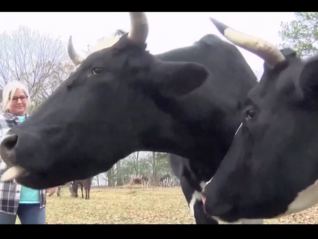 Applications open for Farm Aid Program