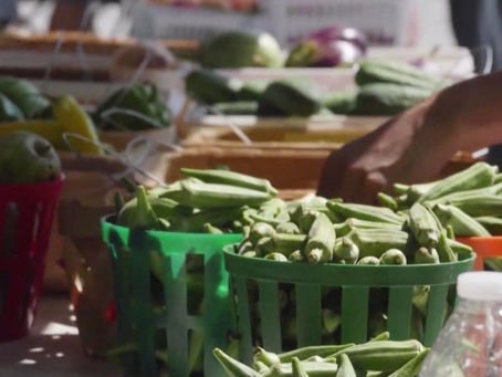 Earth's Bounty returns Saturday in Meridian