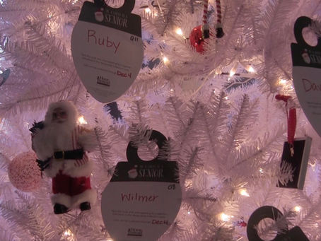 Home Instead seeking more volunteers for 'Be a Santa to a Senior'
