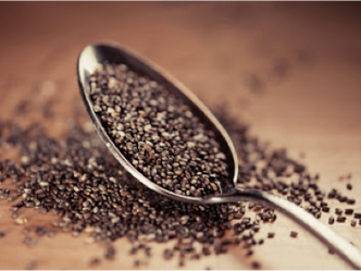 ¿Qué es la semilla de Chía?