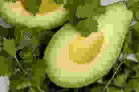 descarga.jpeg