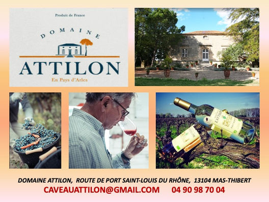 Domaine ATTILON.jpeg