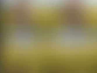 Greetings from Pastor Rob