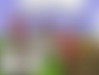 Greetings from Pastor Rob