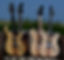 aaCDL_0749_edited.jpg