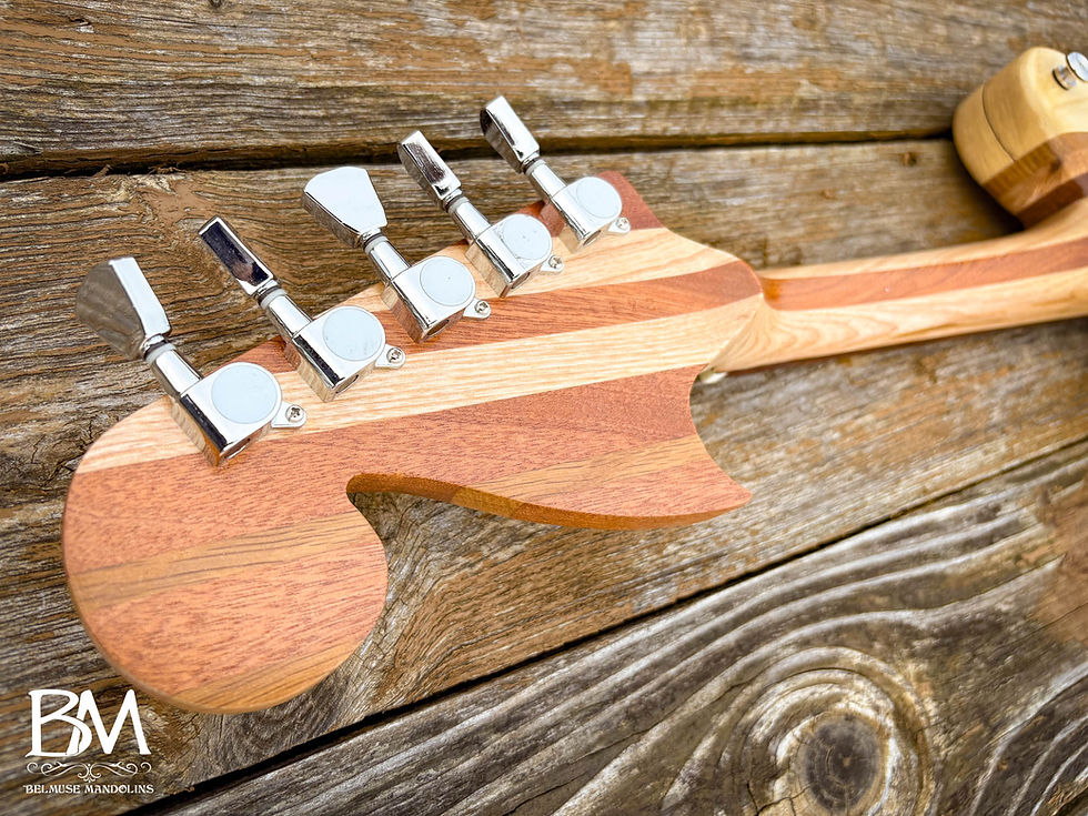 Thumbnail: HGT/M5 5 String Electric Mandolin Solid Body eMando