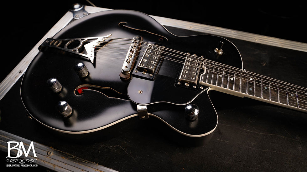 Thumbnail: Black Falcon 10 String Electric Mandolin Semi Body eMando