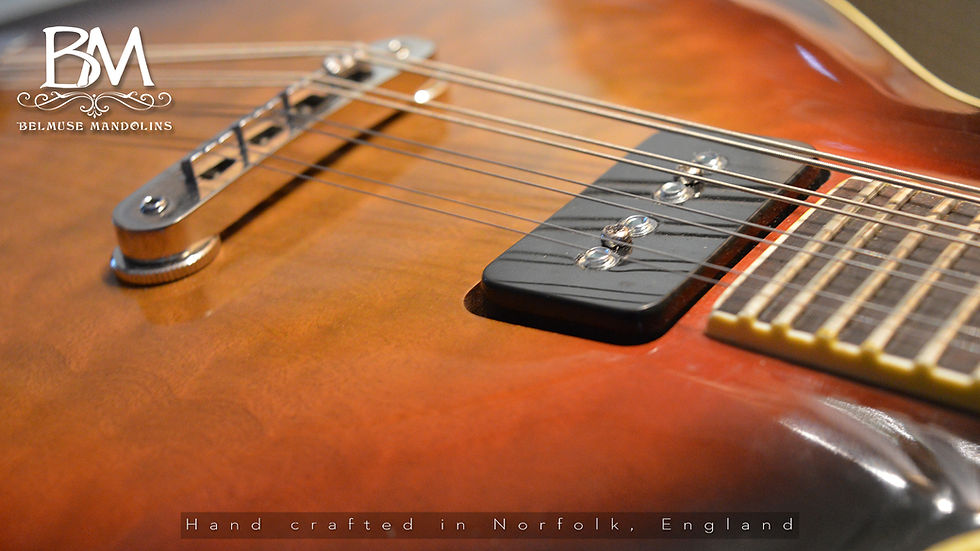 Thumbnail: EM200 8 String Electric Mandolin Solid Body eMando