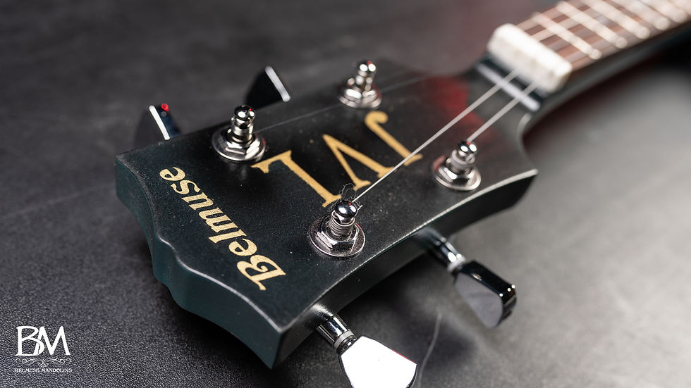 Thumbnail: LP 4 String Jnr Custom Spruce Thru-Neck Electric Mandolin Solid Body eMando