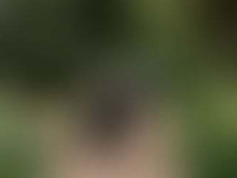 How to Handle a Weather Emergency on Your Wedding Day