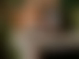 A Classy & Elegant Cocktail Reception at the Winnipeg Art Gallery