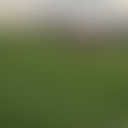 ⚫️⚪️NIEDERLAGE IM TOPSPIEL 😔