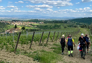 Via Medicea