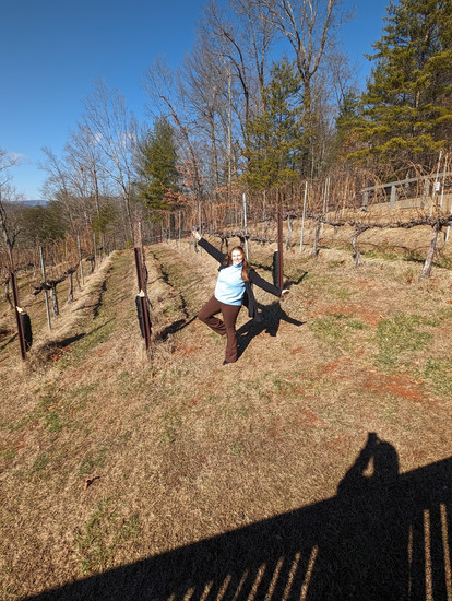 Girl posing on one leg in a vineyard