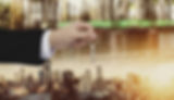 Acquisition consulting