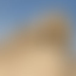 Egito: pirâmides, o Rio Nilo e uma boa dose de cultura e história tornam o país incrível!