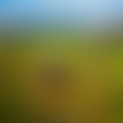 Chile: o país equipara-se à França e à Itália na produção de vinhos. Confira algumas vinícolas!