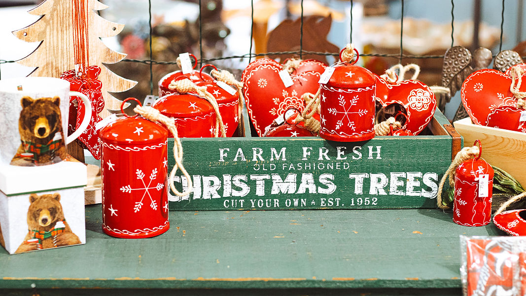 Backyard Bird Feeding Wild Birds & Gardens Fair Oaks