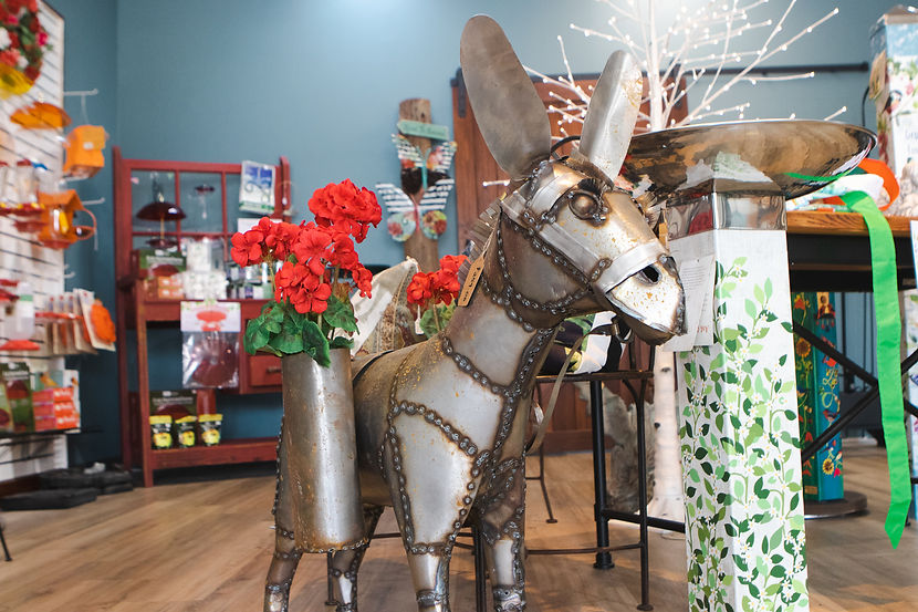 Shop Wild Birds & Gardens Fair Oaks, Ca