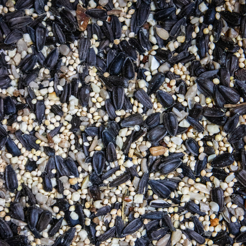 Birder's Choice Wild Birds & Gardens