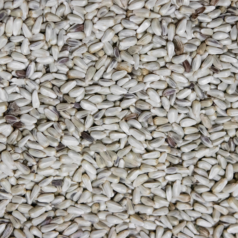 Safflower Wild Birds & Gardens