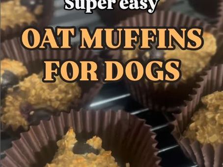 Recipe: Easy Oat Muffins For Dogs