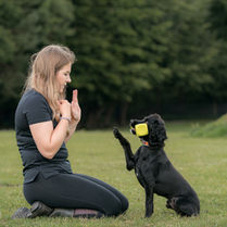 Nerdy Dog Training: Location Specific  Reward Markers