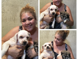 Me ajudem a achar minha mãe