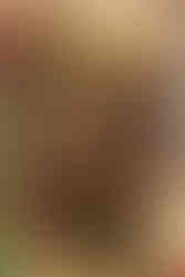 皮革休閒鞋, 市場規模, 品質要求, 型錄設計, 展示方式, 美感, 拍攝環境, 光影效果, 拍攝角度, 展示空間