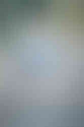 FILA BLUES, 復古風格, 女孩鞋款, 夏天流行