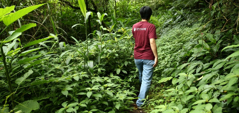 徐銘謙, 台灣千里步道協會, 綠色, 可持續發展, 健行, HI-TEC, Rio水陸護趾涼鞋