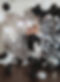 db3c54dc-0673-4569-825b-9db41f8bf1a1.jpg
