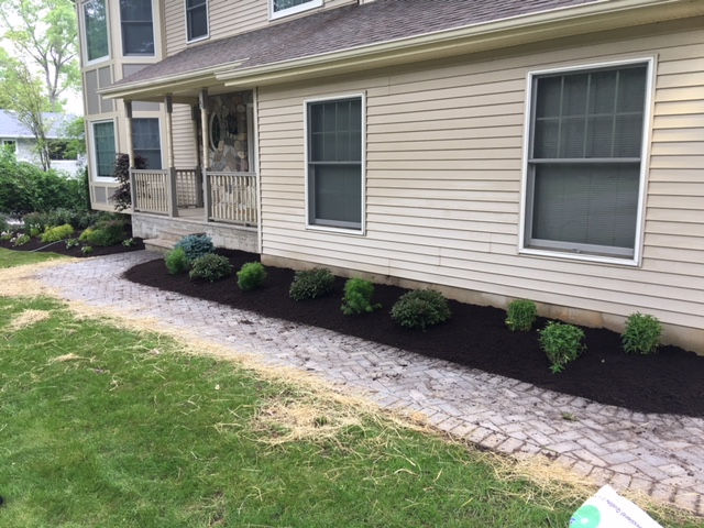 Shrub replacement