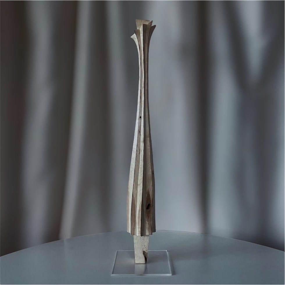 Photoroom_20250112_211505