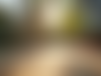 Hire the Best Local Deck Contractors and Find Local Deck Builders