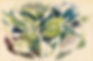 Watercolours: Abstracting Flowers