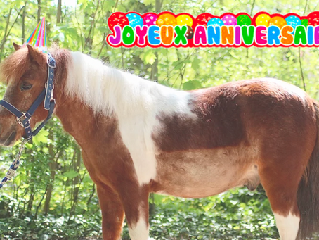 Venez fêter votre anniversaire au CEA 🎉