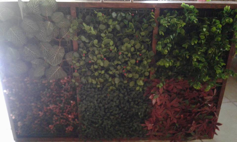 $765 m2 VARIEDAD DE FOLLAJES