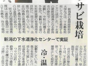 日本農業新聞に西川浄化センターでの実証実験が掲載されました(2020.7.16 )