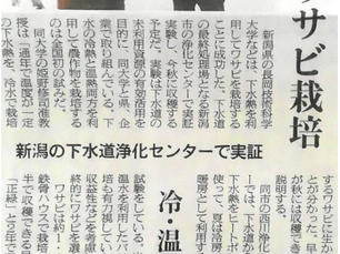 日本農業新聞に西川浄化センターでの実証実験が掲載されました(2020.7.16 )